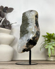 XXL Natural Green Sugar Quartz Specimen Statement Piece on Metal Stand - MWS3366