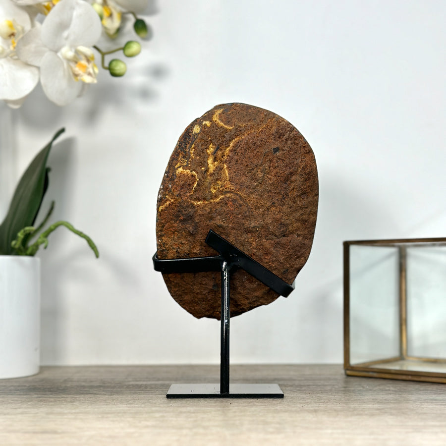 Top Grade Natural Amethyst Crystal - Perfect for Shelf Decor - MWS2547