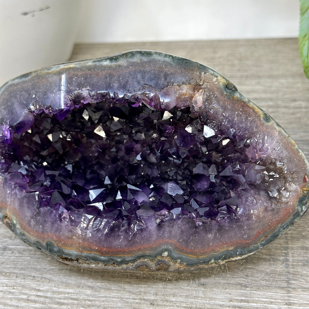 Amethyst Geode with Deep purple Crystals &amp; Polished Shell - STGE0119