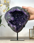 Top Grade Large Amethyst Geode - MWS2269