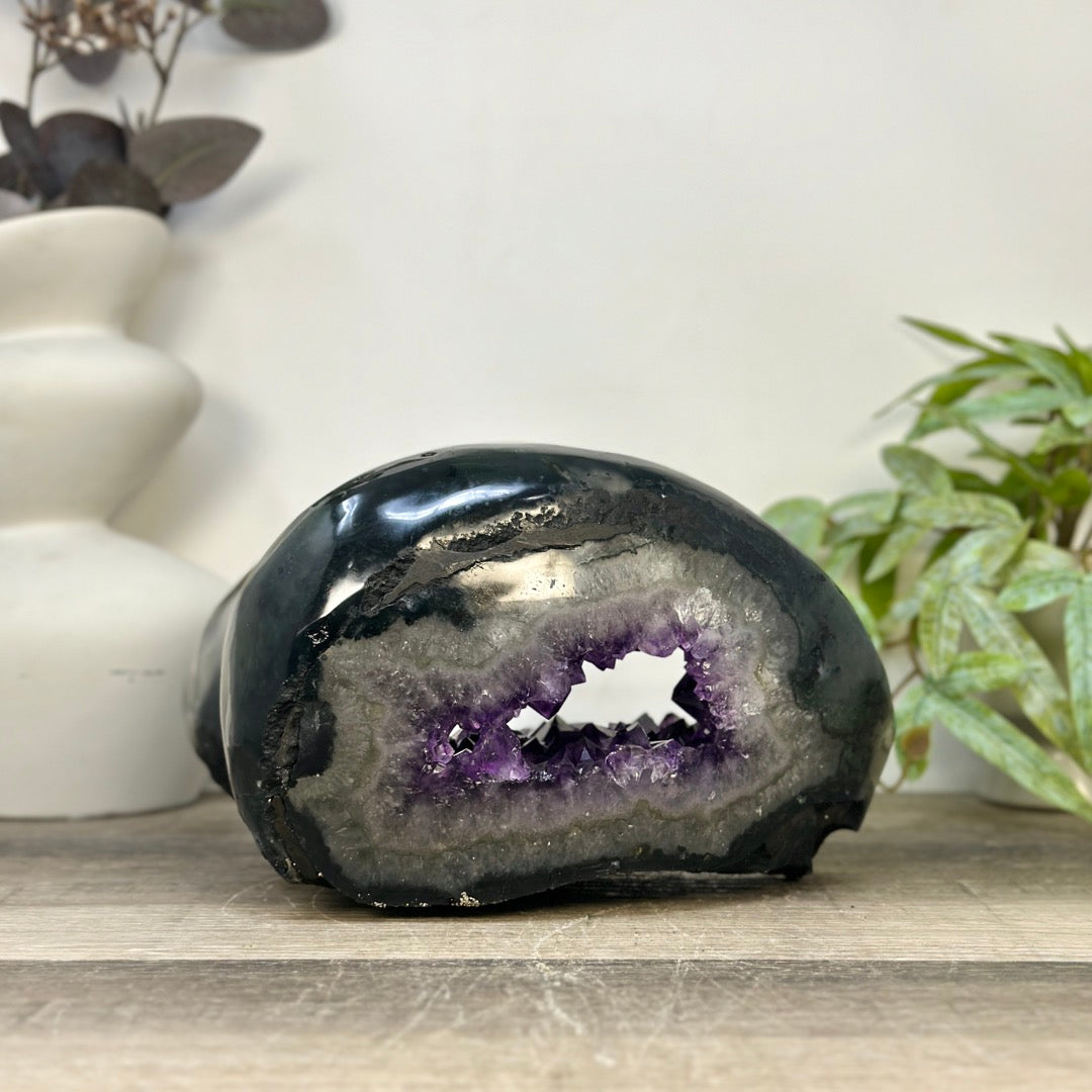 Xl Natural Amethyst Geode with Agate Shell - STGE0072