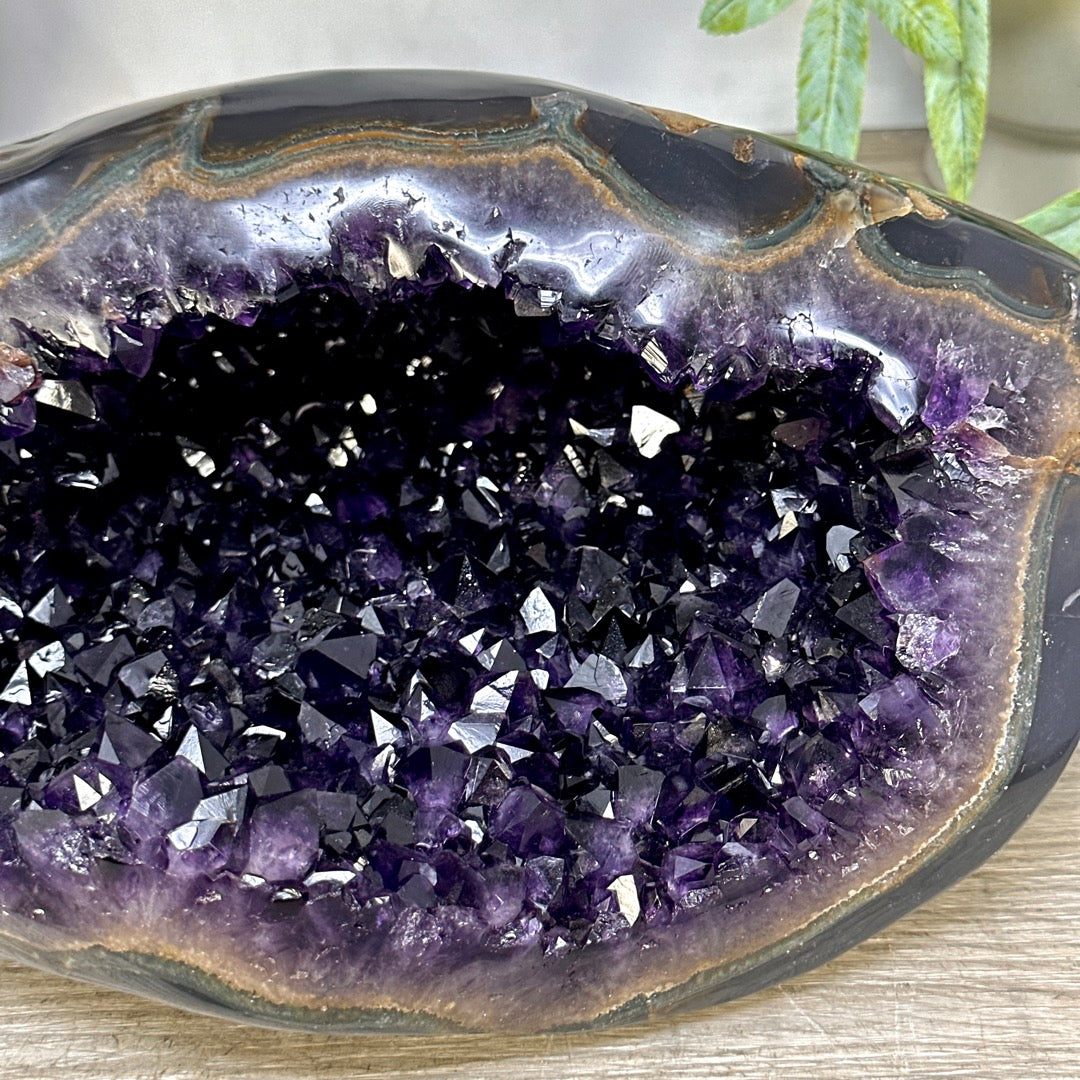 Natural Deep Purple Amethyst Geode with Agate Shell - STGE0102