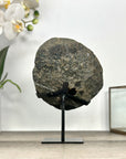 Amethyst Geode on Stand with Red Hematite & Calcite Formation