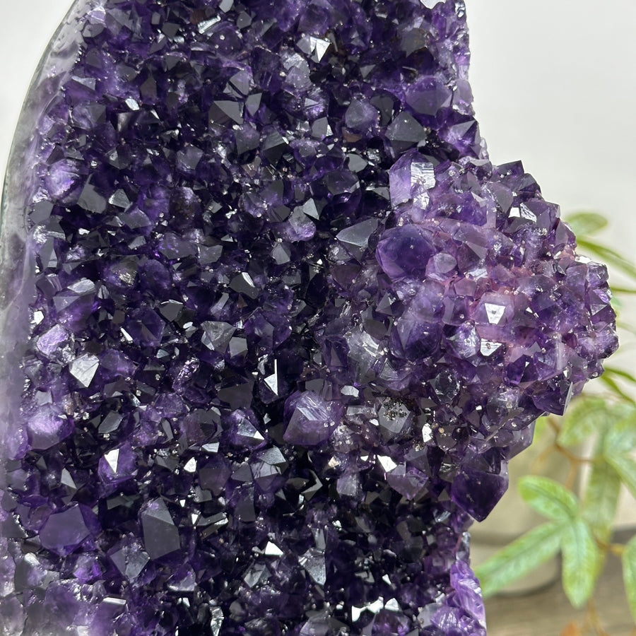 Top Quality Natural Amethyst Crystal Cluster - MWS3221
