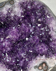 XXL Natural Uruguayan Amethyst Geode - CBP1252