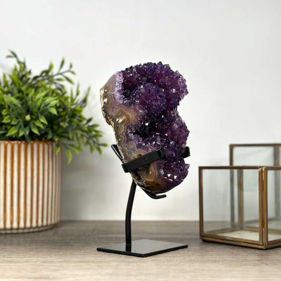 Natural Amethyst Crystal Cluster on Stand - MWS2151