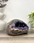 Natural Deep Purple Amethyst Geode with Agate Shell - STGE0102