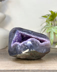 Natural Amethyst Geode with Agate Shell - STGE0098