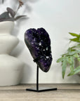 Natural Uruguayan Amethyst Cluster on Stand - MWS3214