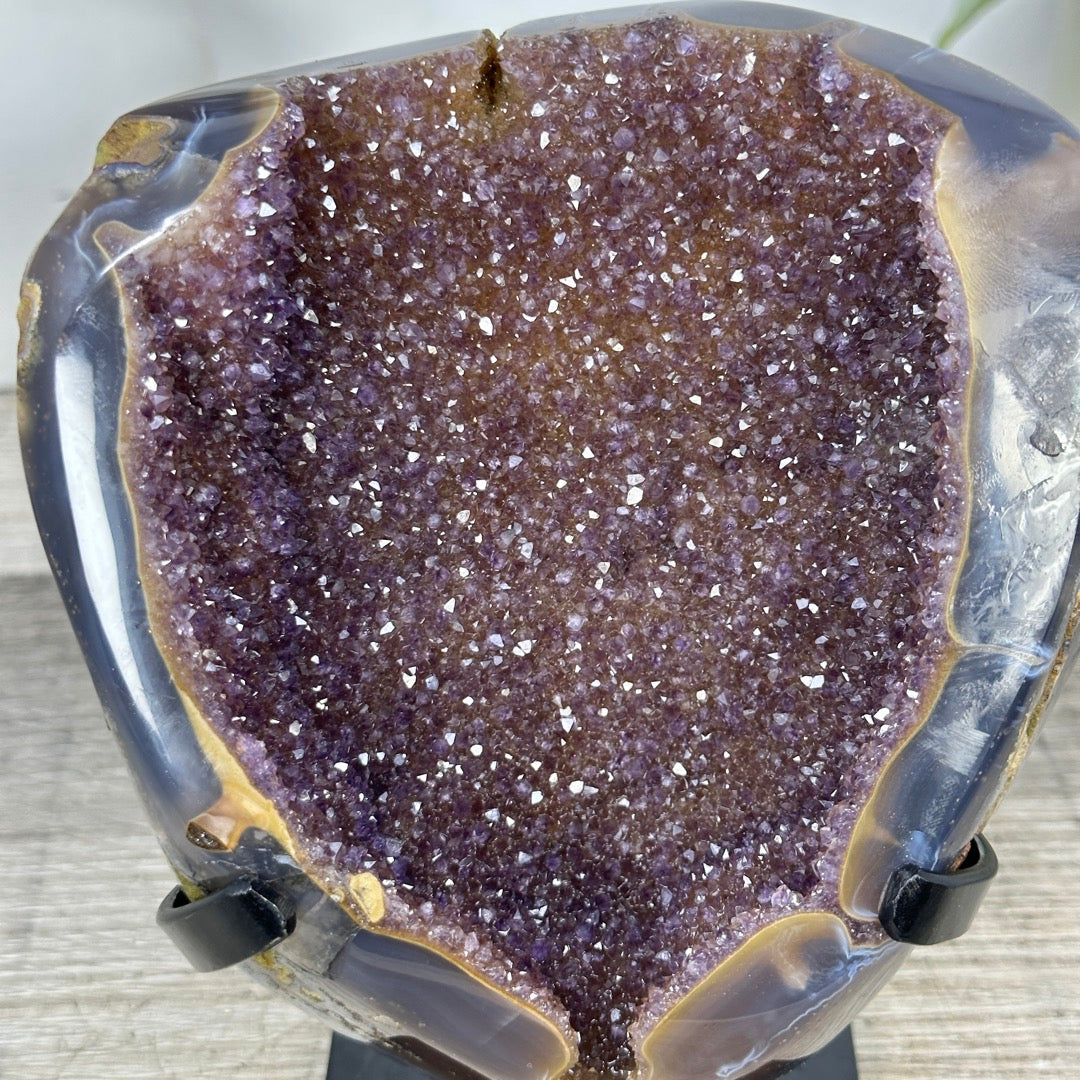 Natural Druzy Amethyst Geode with Agate Shell - MWS3337