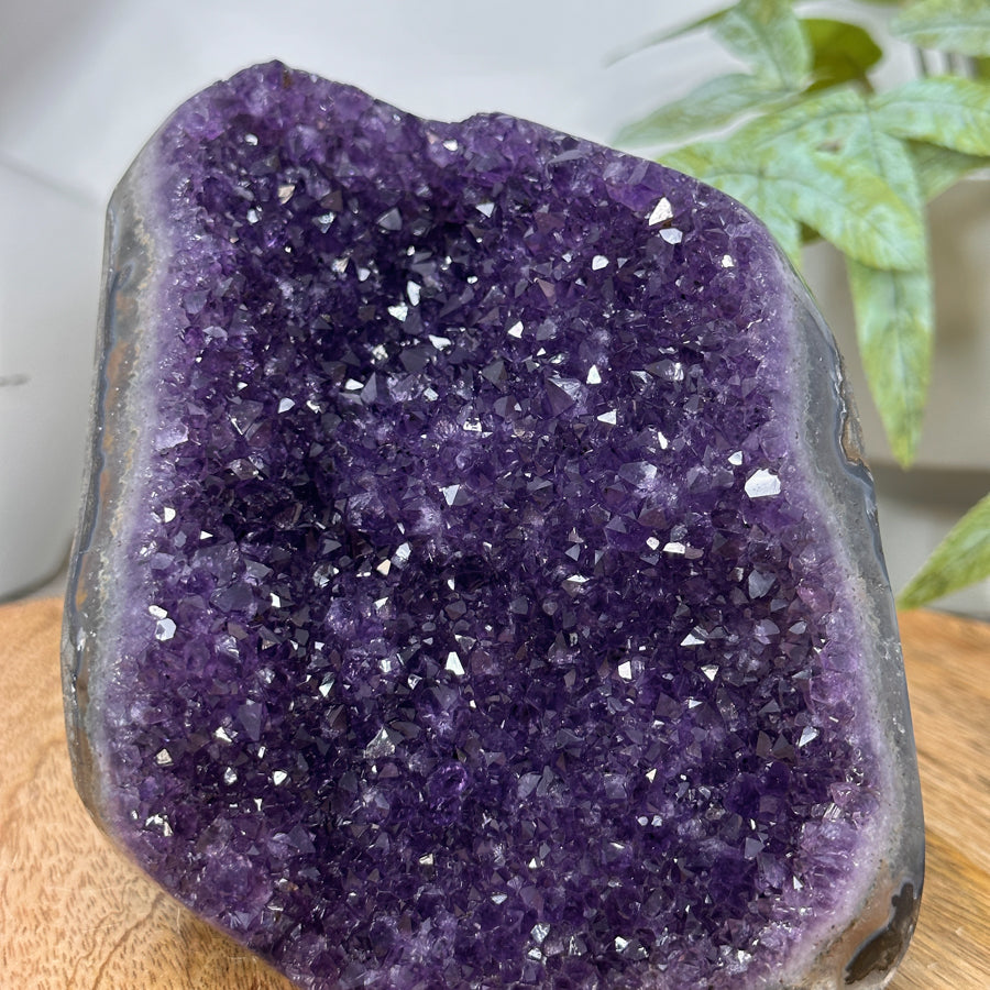 Natural Amethyst Self Standing Cathedral - CBP1294