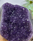 Natural Amethyst Self Standing Cathedral - CBP1294