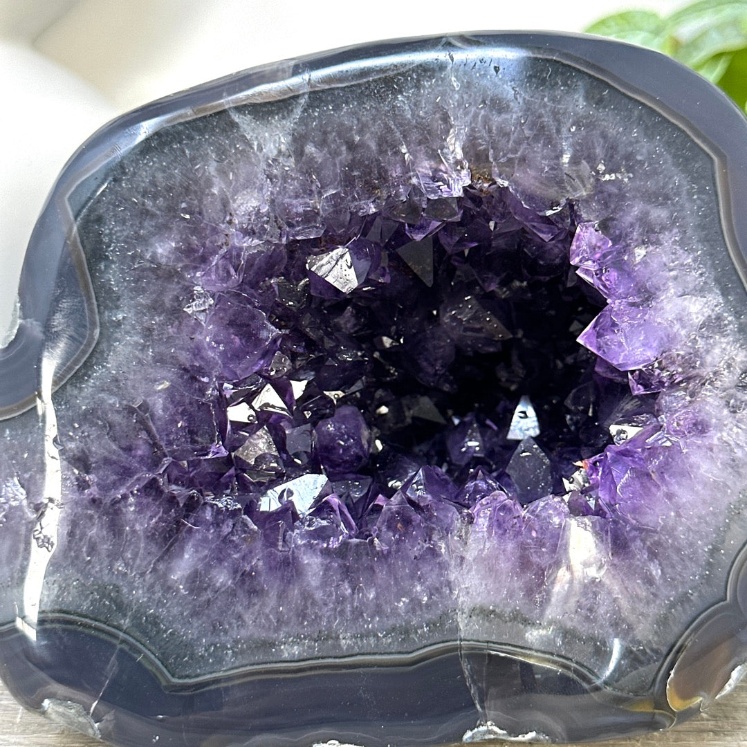 Huge Amethyst &amp; Agate Geode with Handpolished Shell - STGE0083