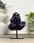 Natural Top Grade Amethyst Stalctite on Stand - MWS3370