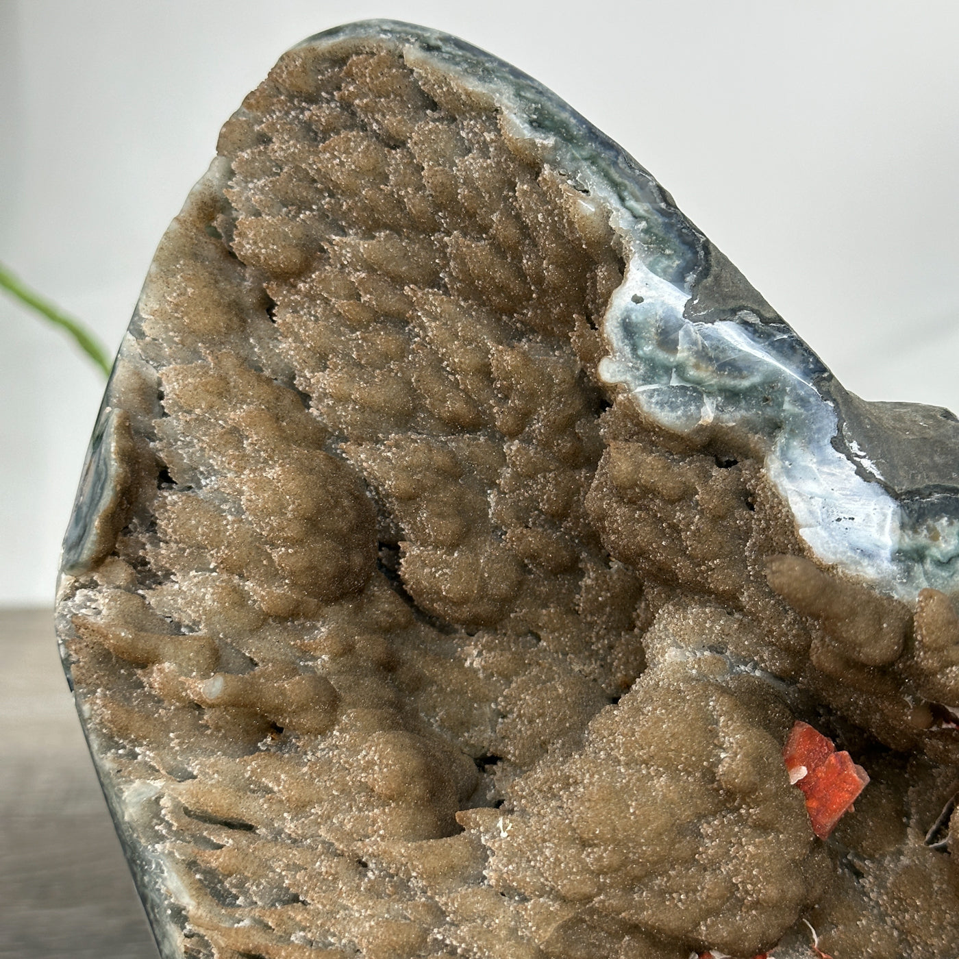 Natural Geode Mineral Specimen with Druzy Crystal Formations - MWS2678