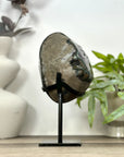 Top Grade Natural Amethyst Specimen on Metal Stand - MWS3160