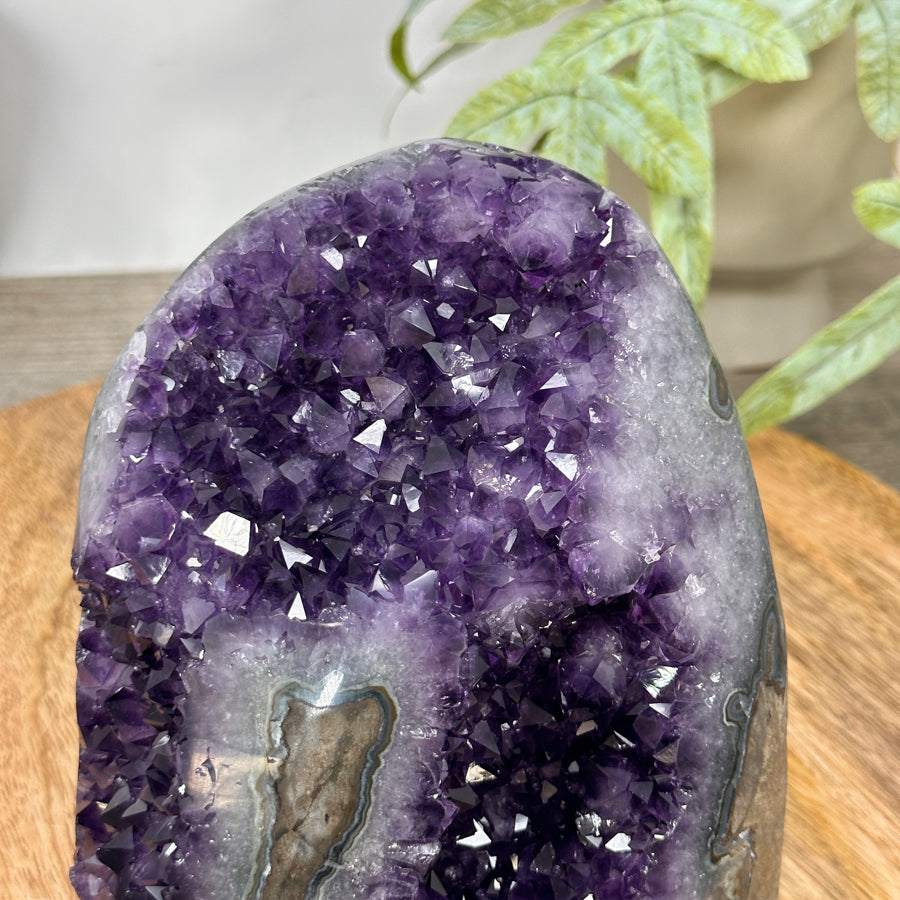 Natural Amethyst Crystal Cathedral for Home Decor - CBP1299
