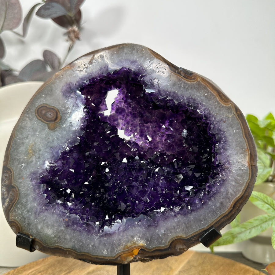 Amethyst &amp; Agate Geode with Polished Shell on Metal Stand - MWS3106