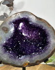 Amethyst & Agate Geode with Polished Shell on Metal Stand - MWS3106