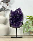 Top Grade Natural Amethyst Cluster on Metal Stand - MWS3212