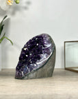 Uruguayan Amethyst Cathedral with Deep Purple Crystals – Natural Standing Geode - CBP1210