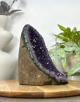 Uruguayan Amethyst cathedral Geode for Home Decor - CBP1306