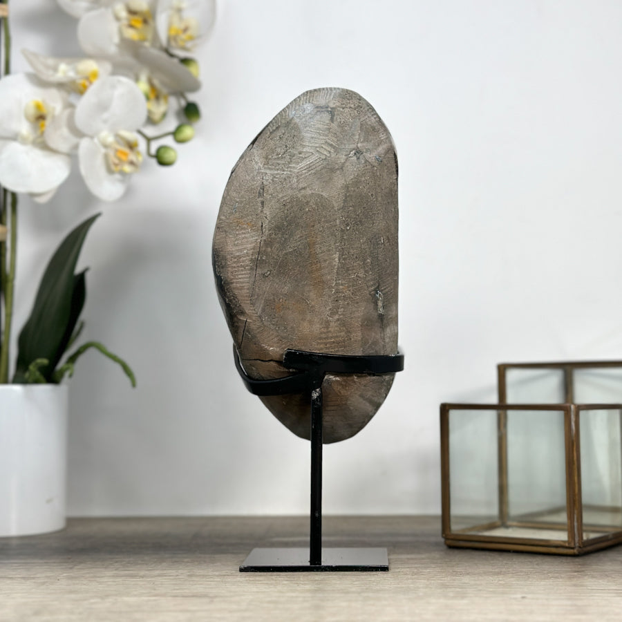 Amethyst Crystal Cluster with Large &amp; Shinny Crystals - MWS2210