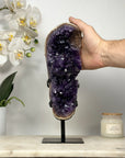 Natural Top Grade Amethyst Cluster with Jasper Matrix - MWS2043