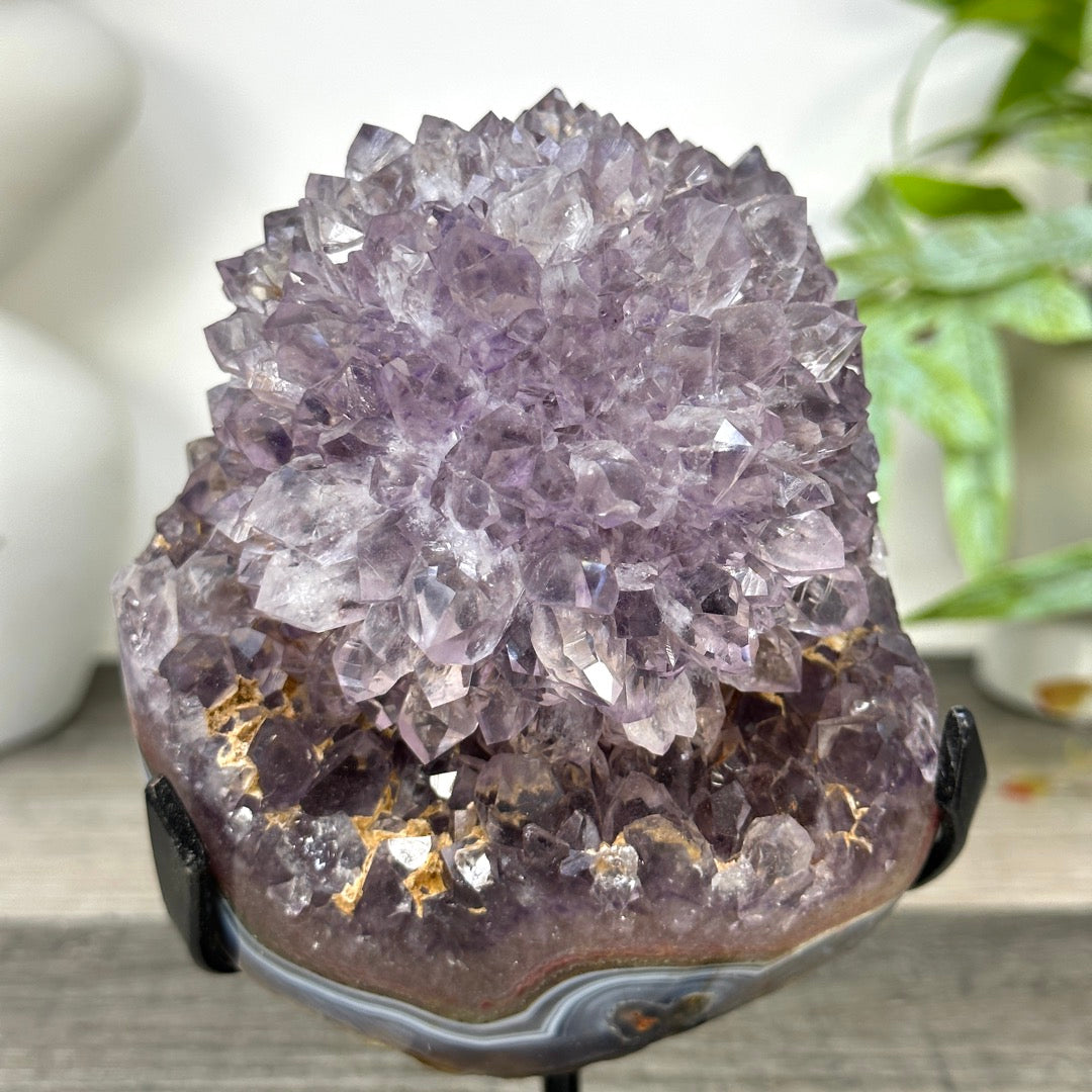 Natural Amethyst Stalactite Flower Formation on Stand - MWS3285