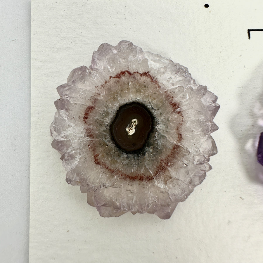 Genuine Amethyst &amp; Agate Stalactite Slices Flat - Perfect for Crafting Unique Jewelry - STS0033