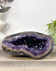 Natural Deep Purple Amethyst Geode with Agate Shell - STGE0102