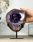Natural Amethyst Geode with Agate Shell - MWS2431