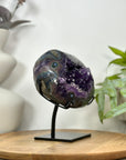 Natural Amethyst Geode with Agate Shell - MWS3096