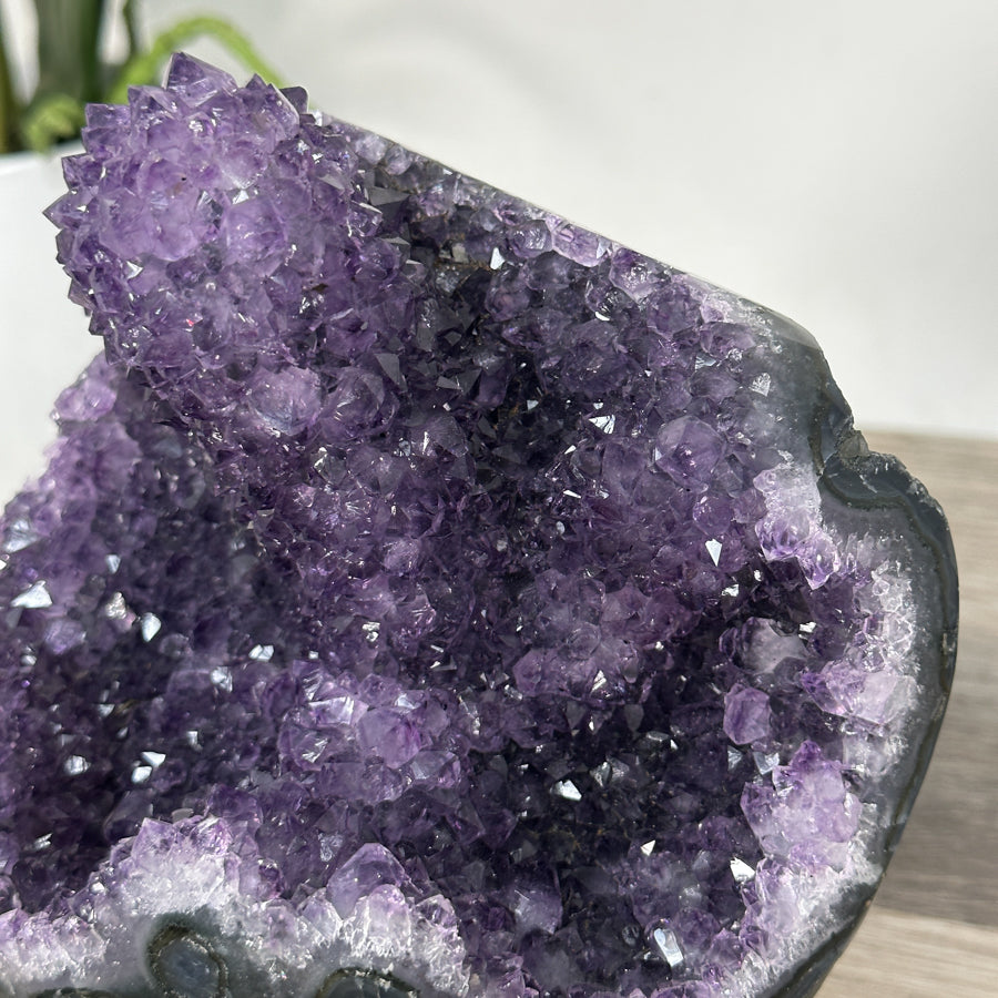 Amethyst Crystal Cluster on Stand – Stalactite Mineral Specimen for Collector Display - MWS2686