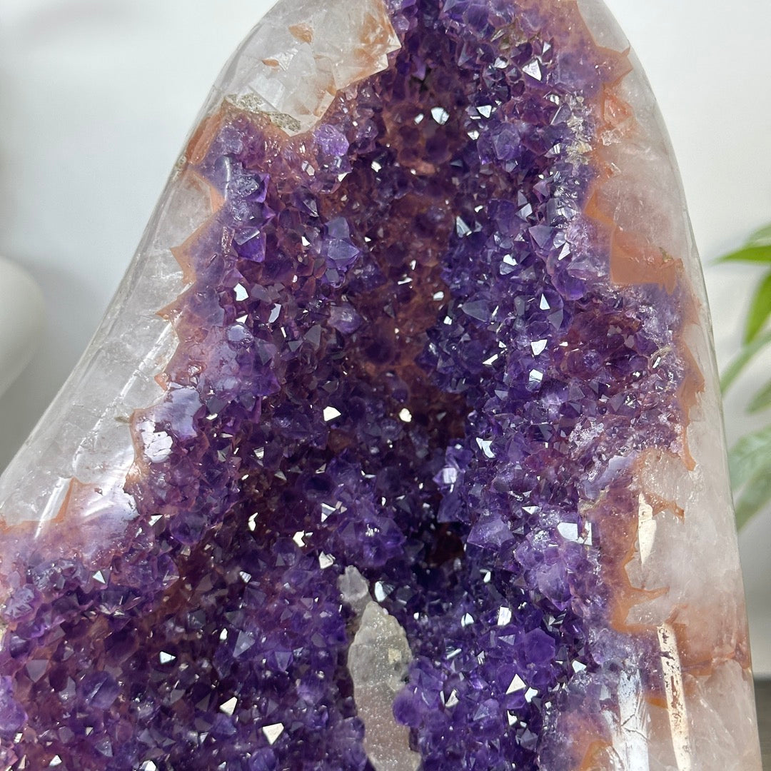 Natural Uruguayan Amethyst Crystal Cluster with XXL Deep Purple Crystals - CBP1404