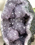 Natural Uruguayan Crystal Geode on Stand with Stalactite Formations - MWS3276