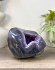 Natural Amethyst Geode with Agate Shell - STGE0098