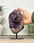 Uruguayan Amethyst Cluster with pseudocalcite Inclusion - MWS3353