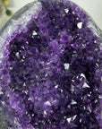 Uruguayan Amethyst Geode with agate Shell Statement Piece - MWS2962