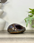 Natural Amethyst Geode with agate Shell - STGE0117
