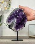 Amethyst Crystal Cluster Geode with Quartz Shell - MWS2636