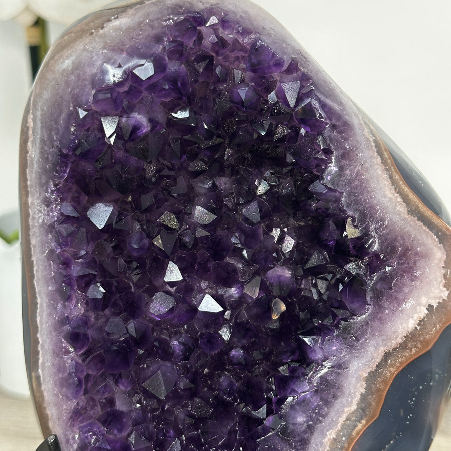 Amethyst Crystal Geode with Natural Agate Shell - MWS2796