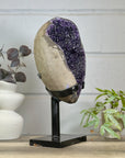 Huge XL Natural Amethyst Geode on Metal Stand - MWS3145
