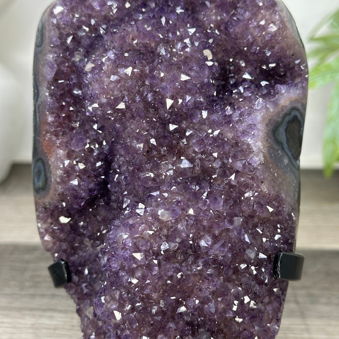 Uruguayan amethyst Geode with Quartz Shell on Stand - MWS3306