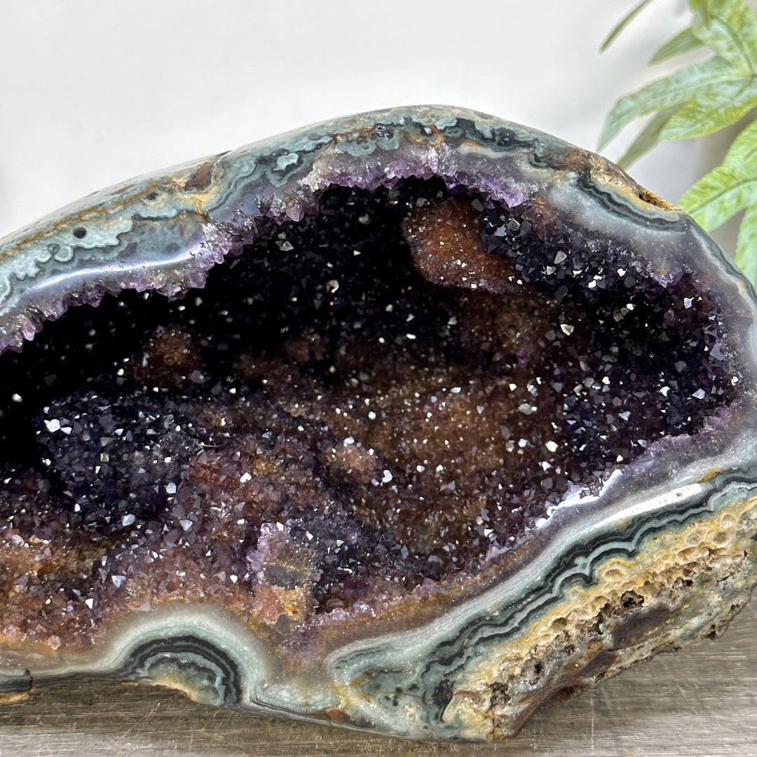 Natural Amethyst Druzy &amp; Jasper Geode - STGE0115