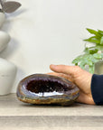 Natural Amethyst Geode with agate Shell - STGE0117