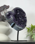 Natural Top Quality Amethyst Geode with Blue Abate Shell - MWS3073