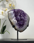 Natural Amethyst Geode with Large & Shinny Crystals - MWS2339