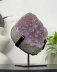 Natural Amethyst Cluster with Unique Quartz Matrix - MWS3333