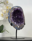 Top Grade Uruguayan Amethyst Geode with Agate Shell - MWS3019